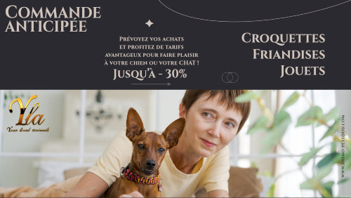 precommande-croquettes-friandises-jouets-chiens