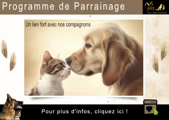Programme de parrainage exclusif chez ANIMO PETFOOD - Offrez des avantages exceptionnels à vos amis et bénéficiez de réductions sur nos produits de qualité.
