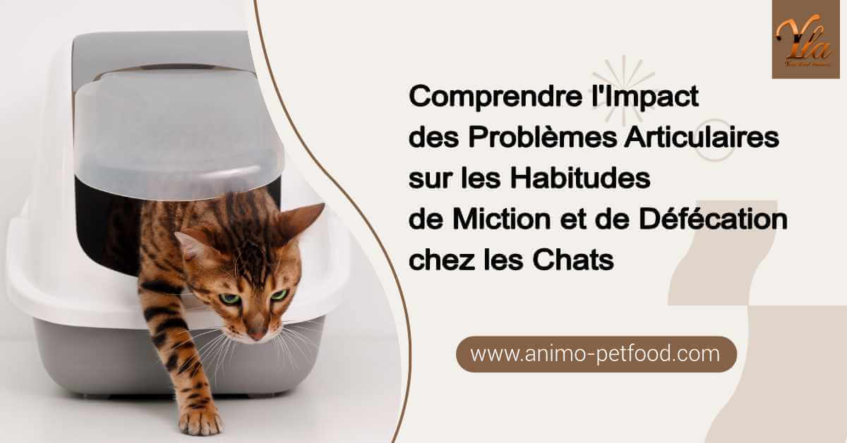 comprendre-l-impact-des-problemes-articulaires-sur-les-habitudes-de-miction-et-de-defecation-chez-les-chats