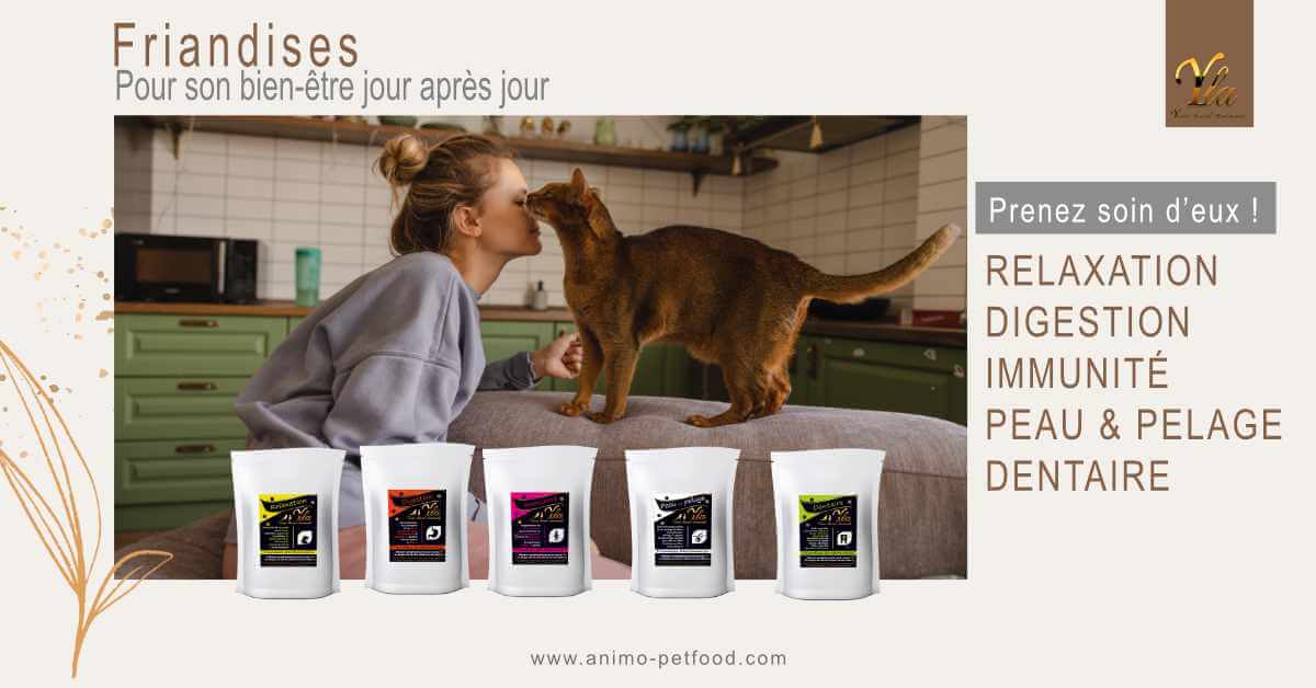 friandises-bien-etre-pour-chat