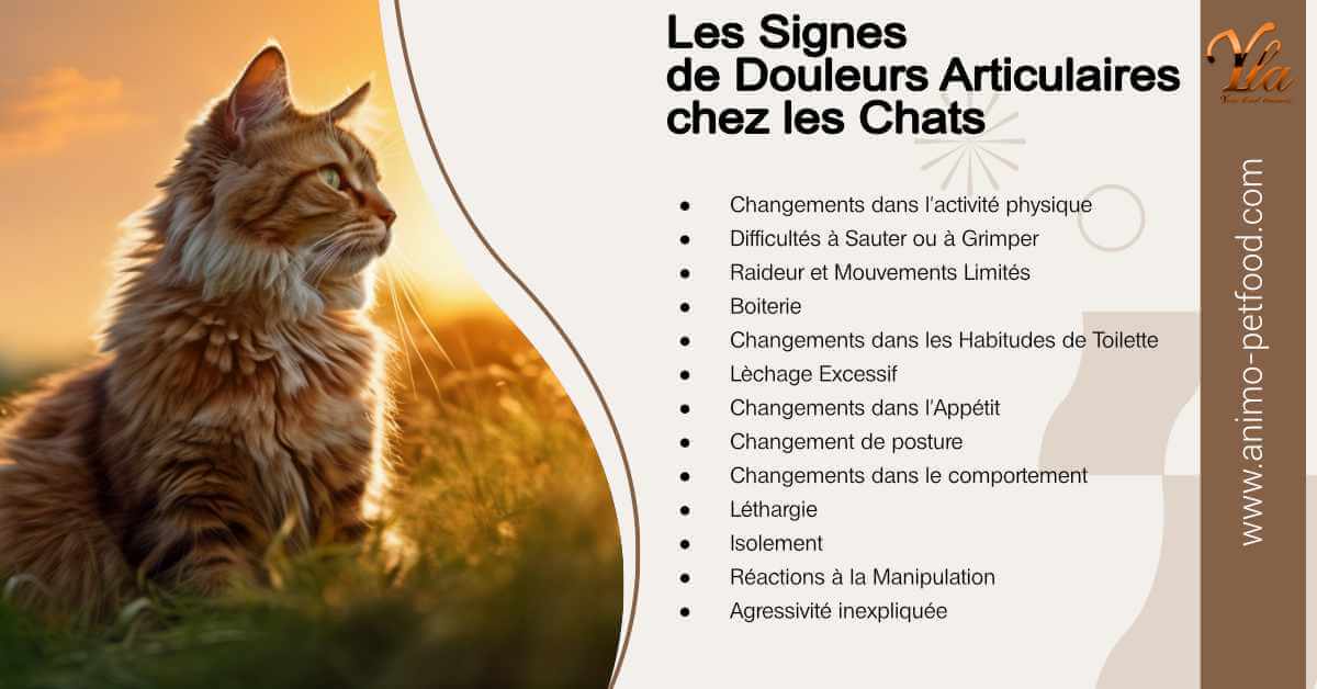 signes-de-douleurs-articulaires-chez-les-chats