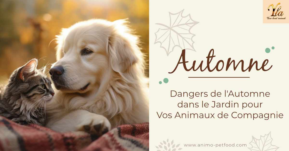 automne-les-risques-lies-au-jardin-pour-nos-animaux-de-compagnie