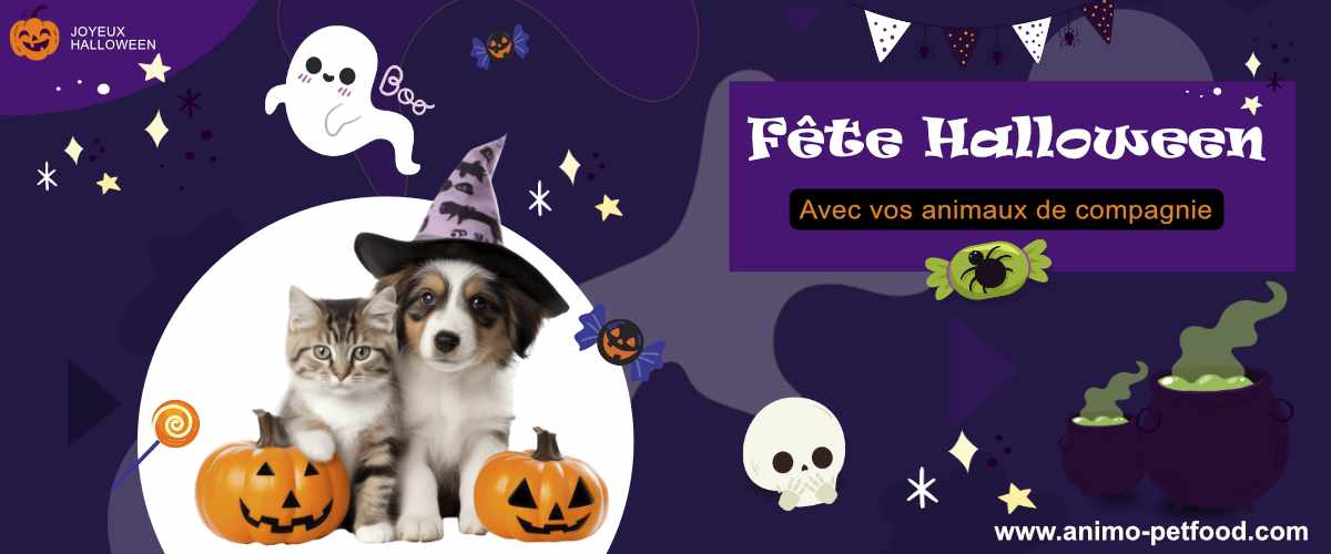 fete-halloween-avec-vos-animaux-de-compagnie