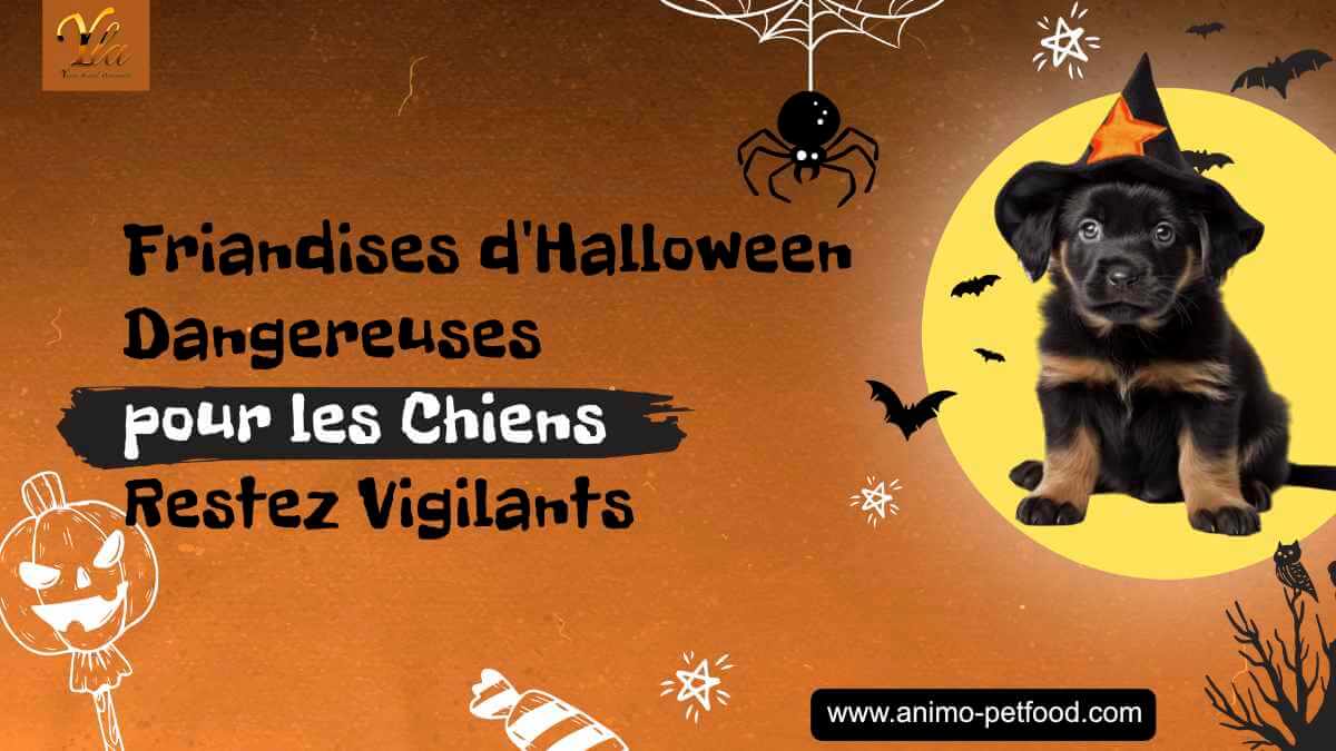 friandises-d-halloween-dangereuses-pour-les-chiens