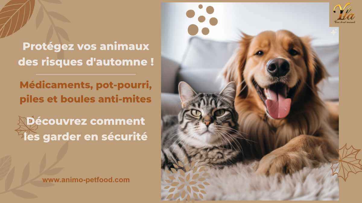 risques-d-automne-pour-animaux-medicaments-pot-pourri-piles-boules-anti-mites