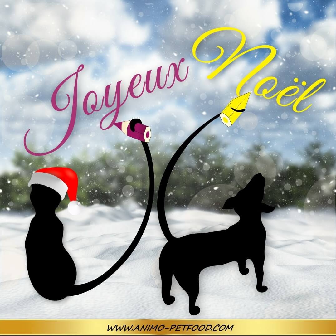 Animo Petfood Vous Souhaite Un Joyeux Noel