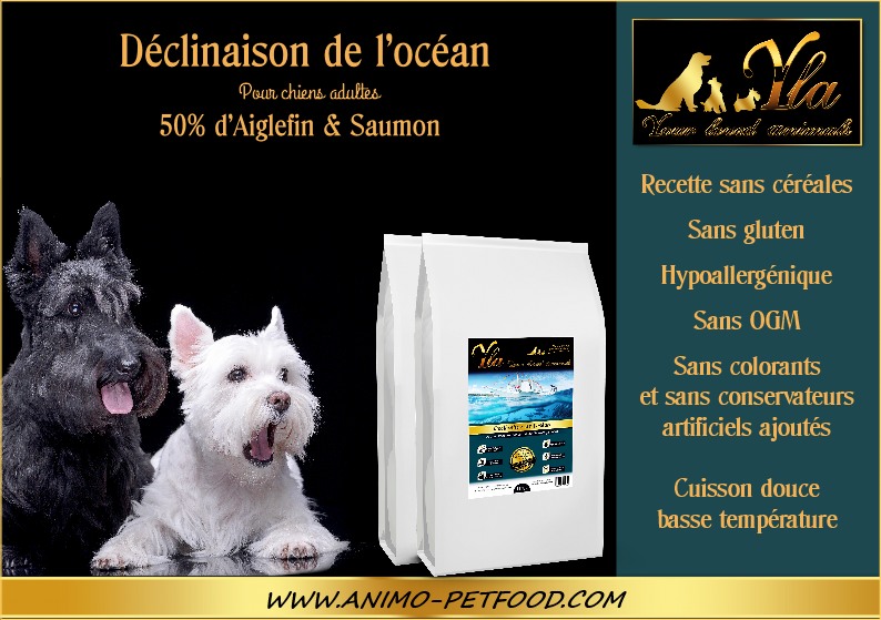 aliment-pour-chien-peau-sensible-et-intolerance-au-cereale-et-gluten