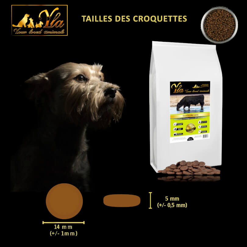 la-taille-des-croquettes-pour-chiens