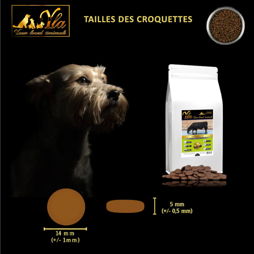 comment-choisir-une-bonne-croquette-pour-chien