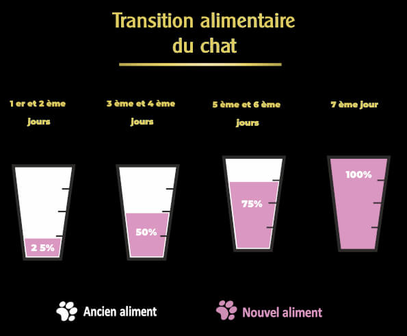 changement-de-nourriture-chaton