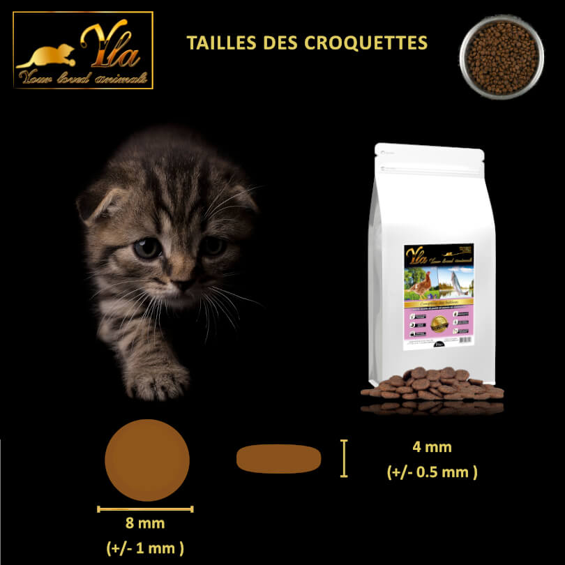 chaton-alimentation-hypoallergenique-sans-cereale