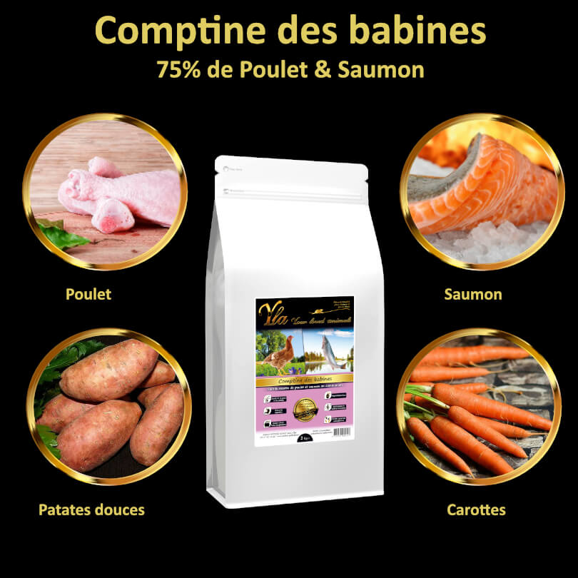 croquettes-sans-cereales-au-poulet-et-saumon-pour-chaton