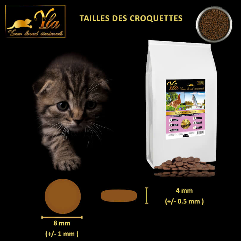 croquettes-sans-cereales-chaton