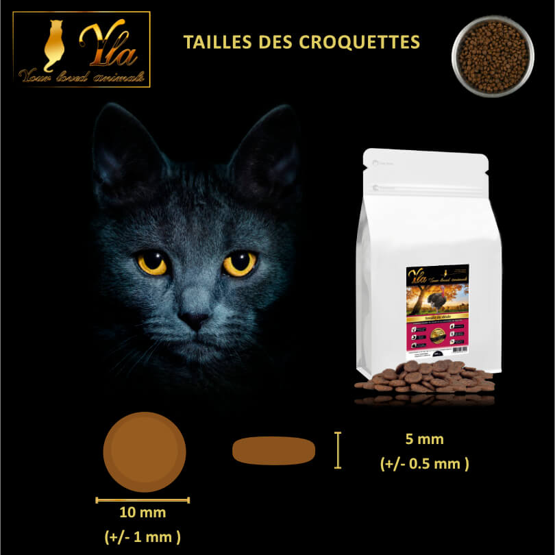 croquette-pour-chat-allergie-alimentaire