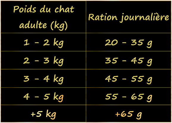 ration-journaliere-pour-chat
