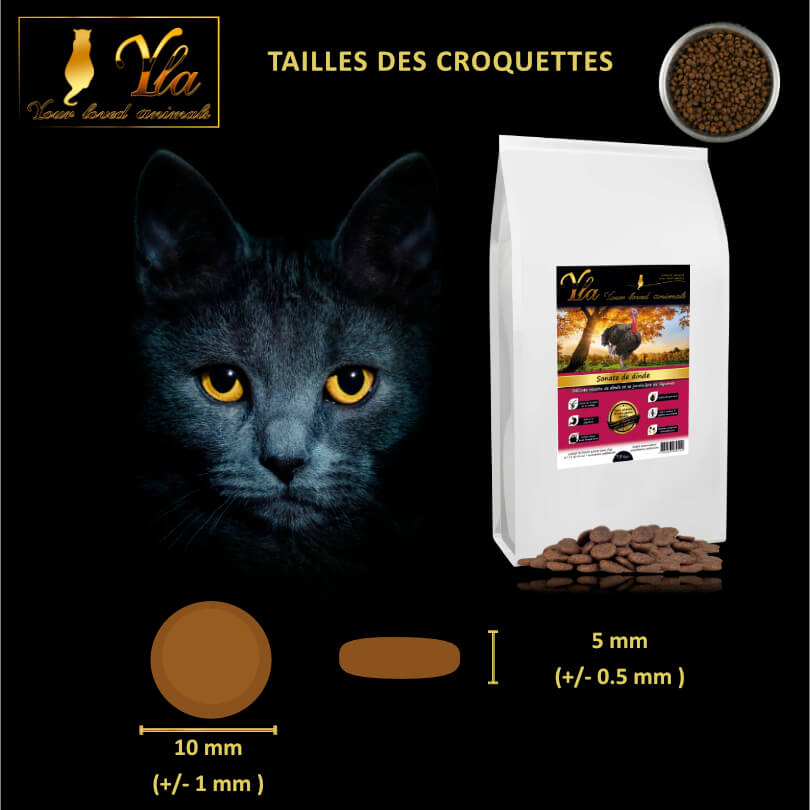 croquettes-sans-cereale-ni-gluten-pour-chat