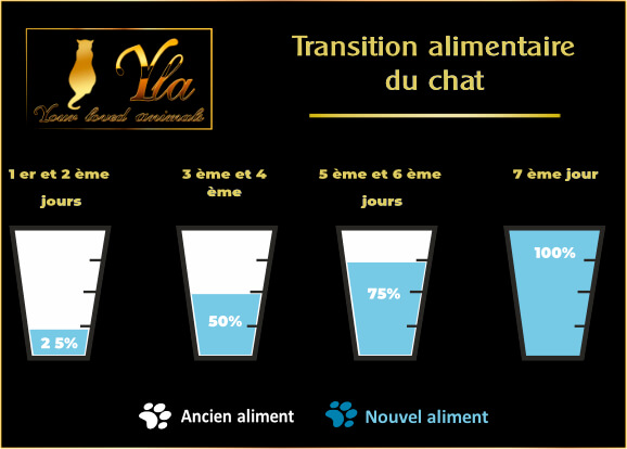 changement-croquette-au-saumon-pour-chat