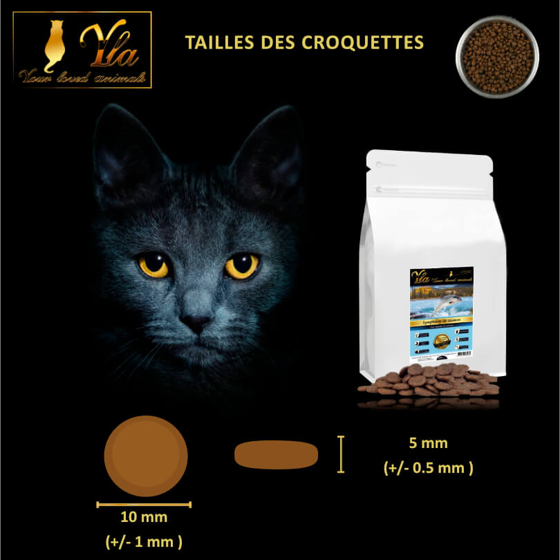 croquettes-au-saumon-pour-chat