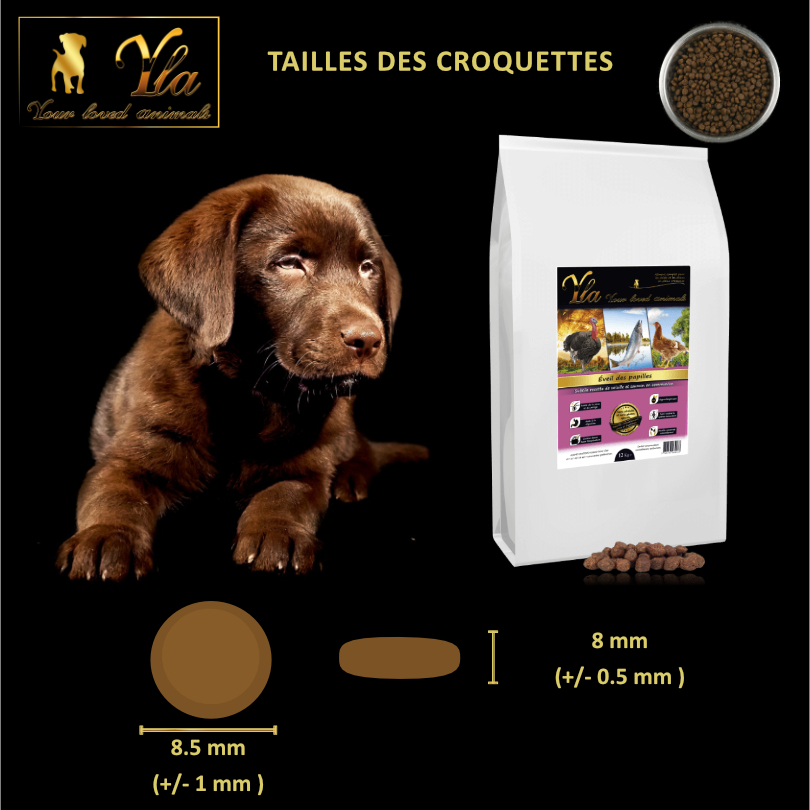 nourriture-pour-chiot-sans-cereale