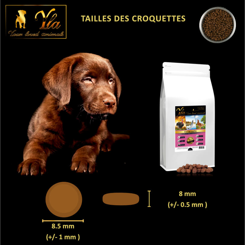 croquettes-pour-chiot-sans-cereale