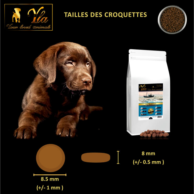 croquettes-sans-cereales-transition-alimentaire-du-chiot