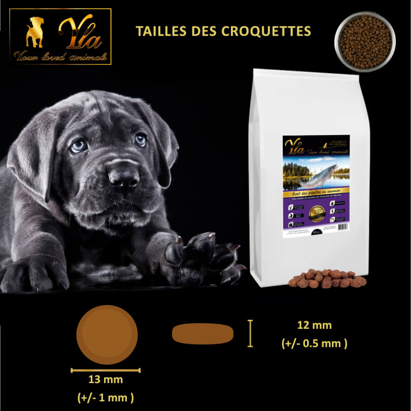 croquettes-naturelles-sans-cereales-pour-chiot-de-grande-race