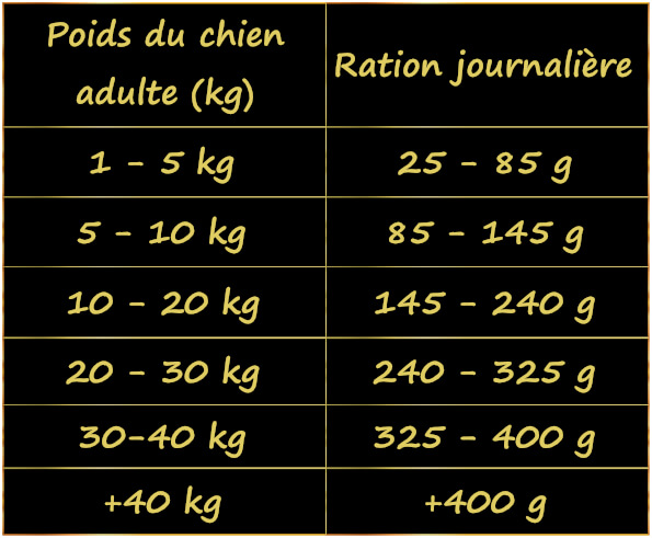 quelle-quantité-de-nourriture-pour-un-chien-adulte