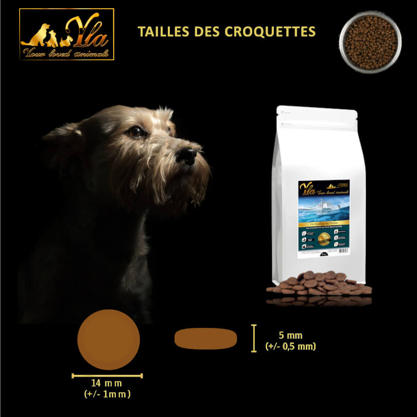 meilleur-croquette-pour-chien