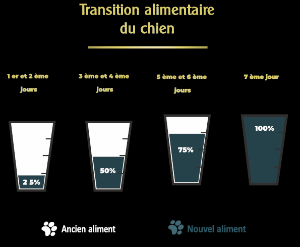 changement-de-nourriture-chien