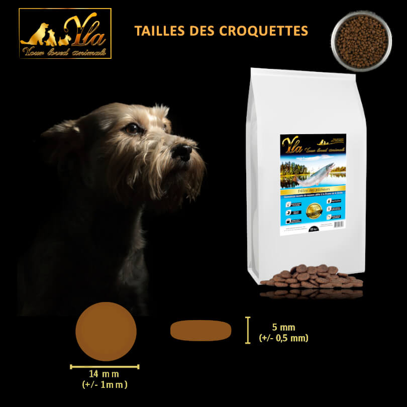 alimentation-pour-chien-avec-digestion sensible