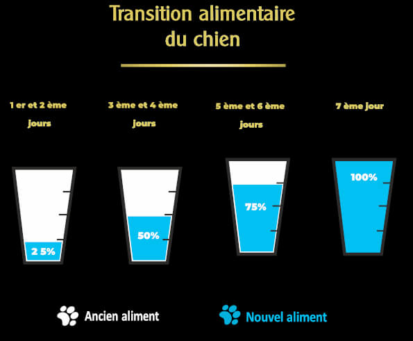 chien-changement–croquettes-hypoallergenique