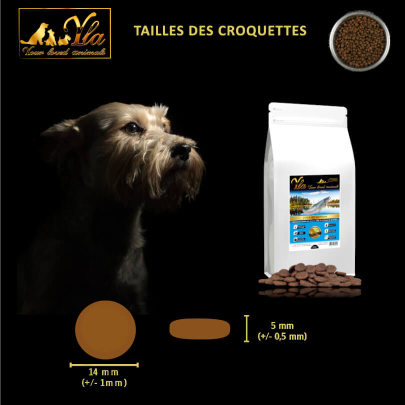 taille-croquette-alimentation-pour-chien-sensible