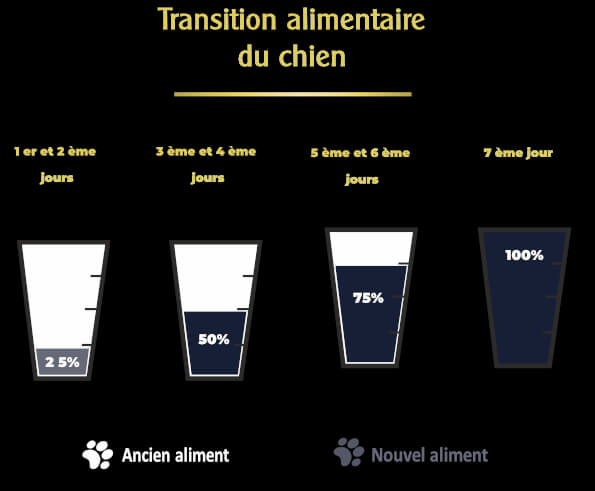 changer-l-alimentation-de-son-chien