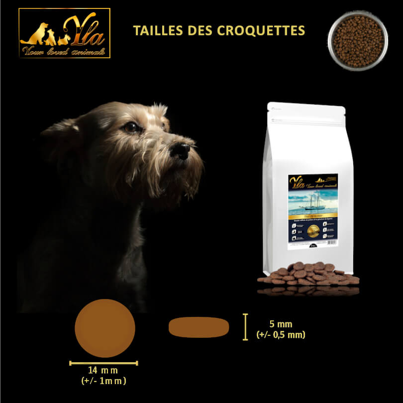 choisir-la-taille-des-croquettes