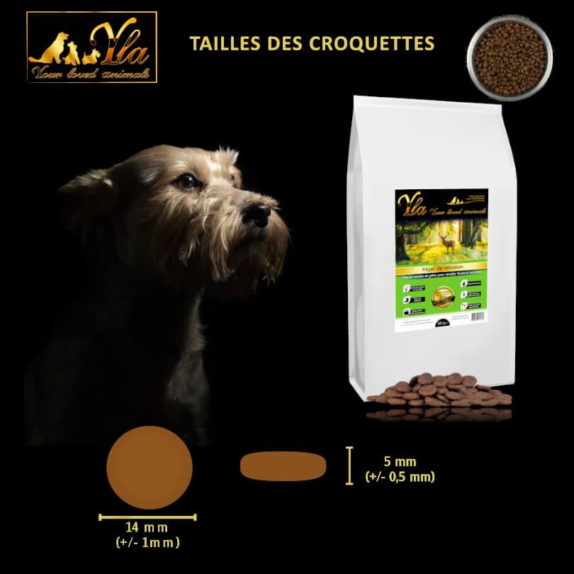 croquette-sans-cereales-chien