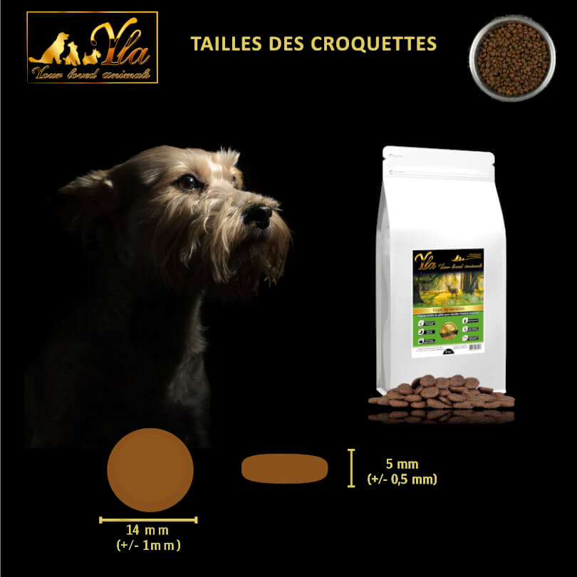 hypoallergenique-croquettes-sans-cereales-pour-chien