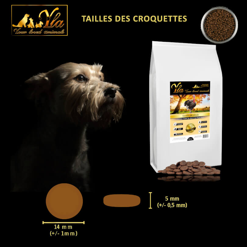 alimentation-sans-gluten-pour-chien-avec-intolerances-alimentaires