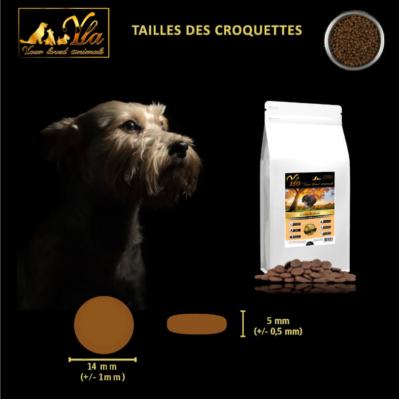 croquettes-sans-cereales-chien-a-la-dinde