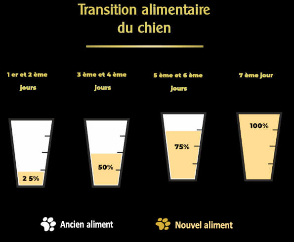 croquettes-sans-cereales-chien-changement-de-nourriture