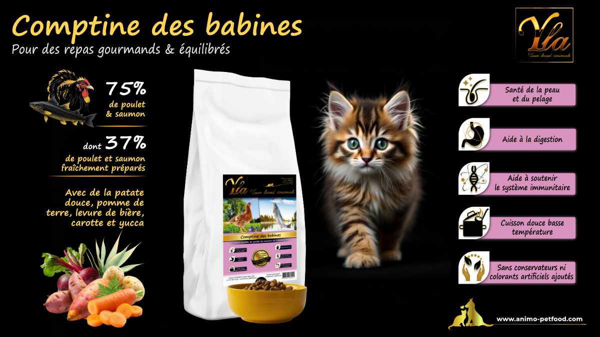 Croquettes hypoallergéniques pour chaton sans céréales au poulet et saumon.