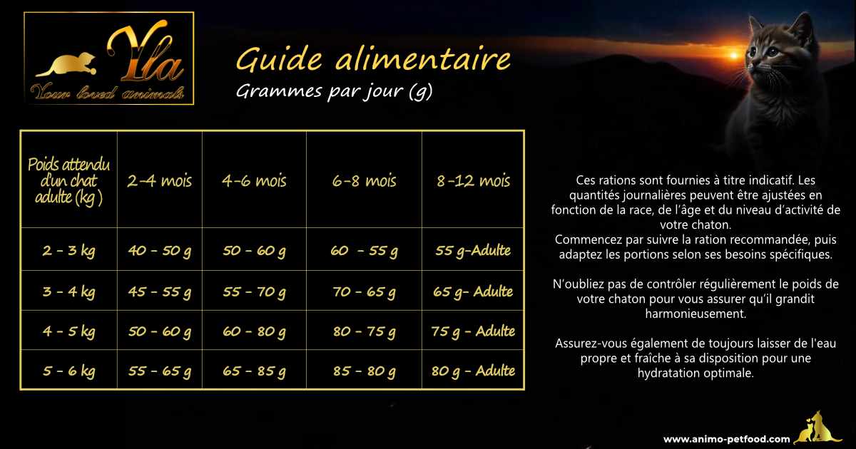 Guide de l’alimentation du chaton : besoins nutritionnels et quantités recommandées pour une croissance équilibrée.