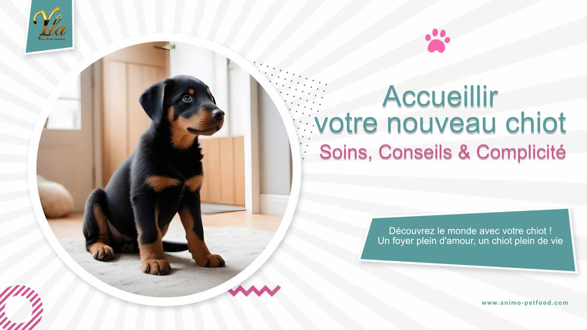 Accueillir un nouveau chiot - Soins, conseils et complicité