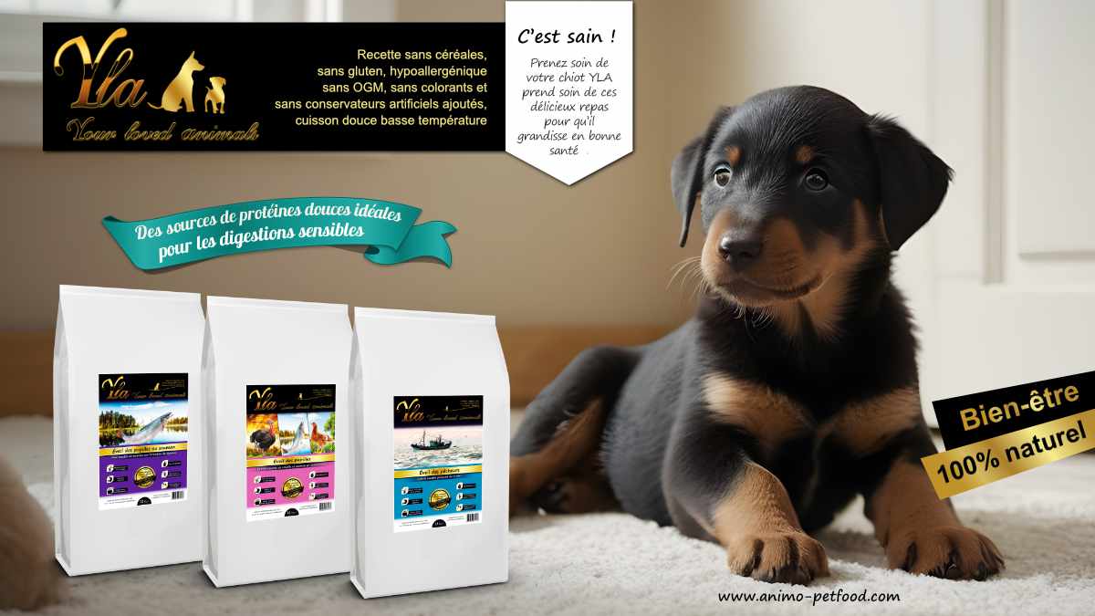 Croquettes sans céréales pour chiots - Nutrition adaptée pour un bon départ