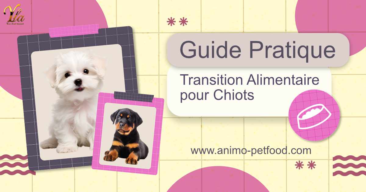 Guide Pratique: Transition Alimentaire pour Chiots