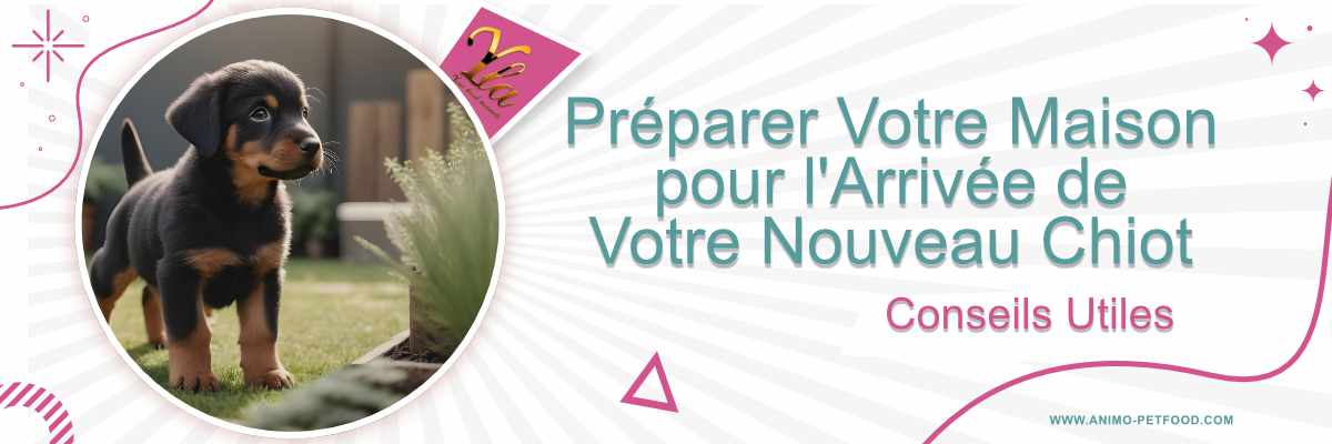 Préparer la maison pour l'arrivée d'un nouveau chiot - Conseils pratiques