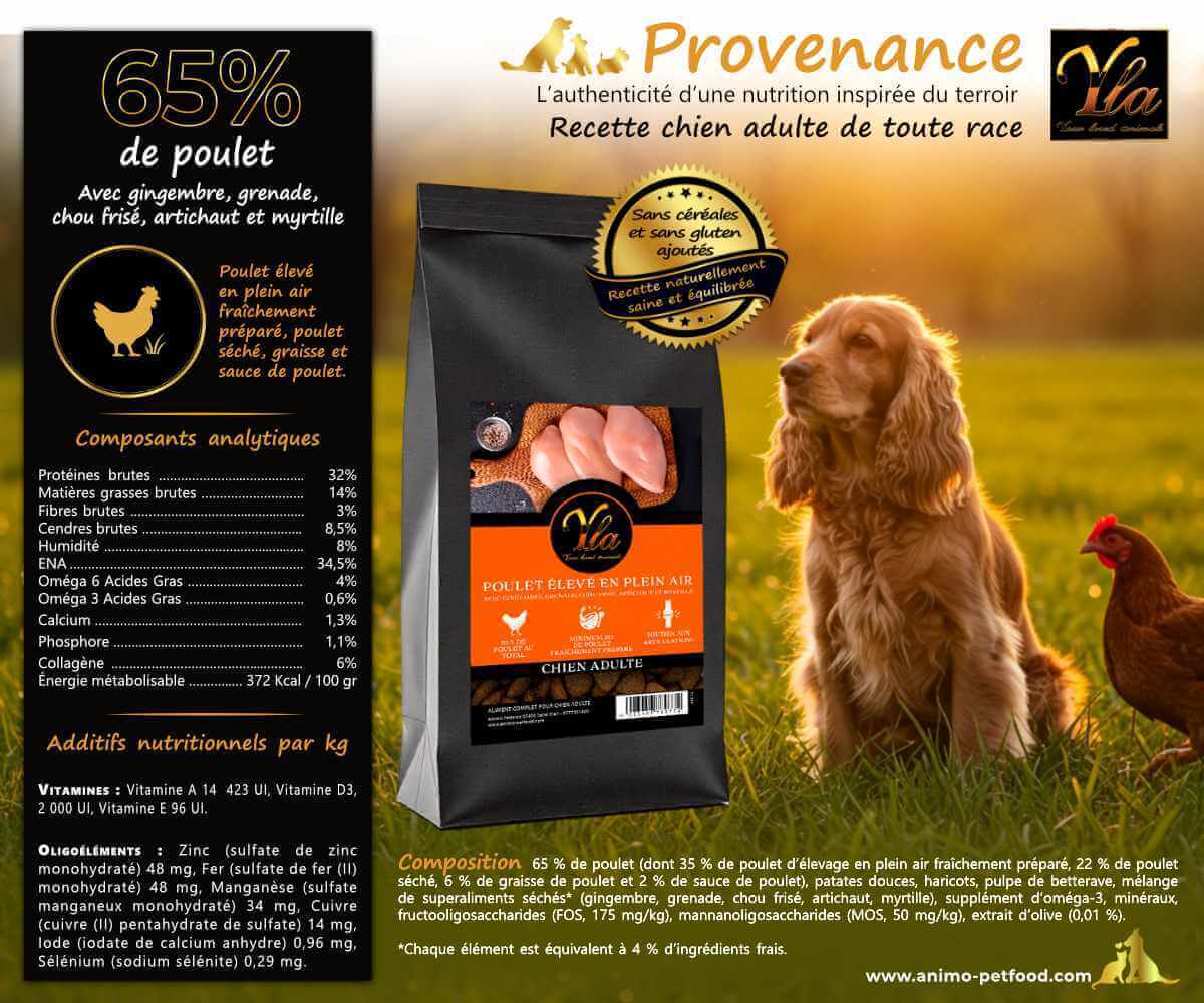 Analyse nutritionnelle des croquettes naturelles pour chien adulte.