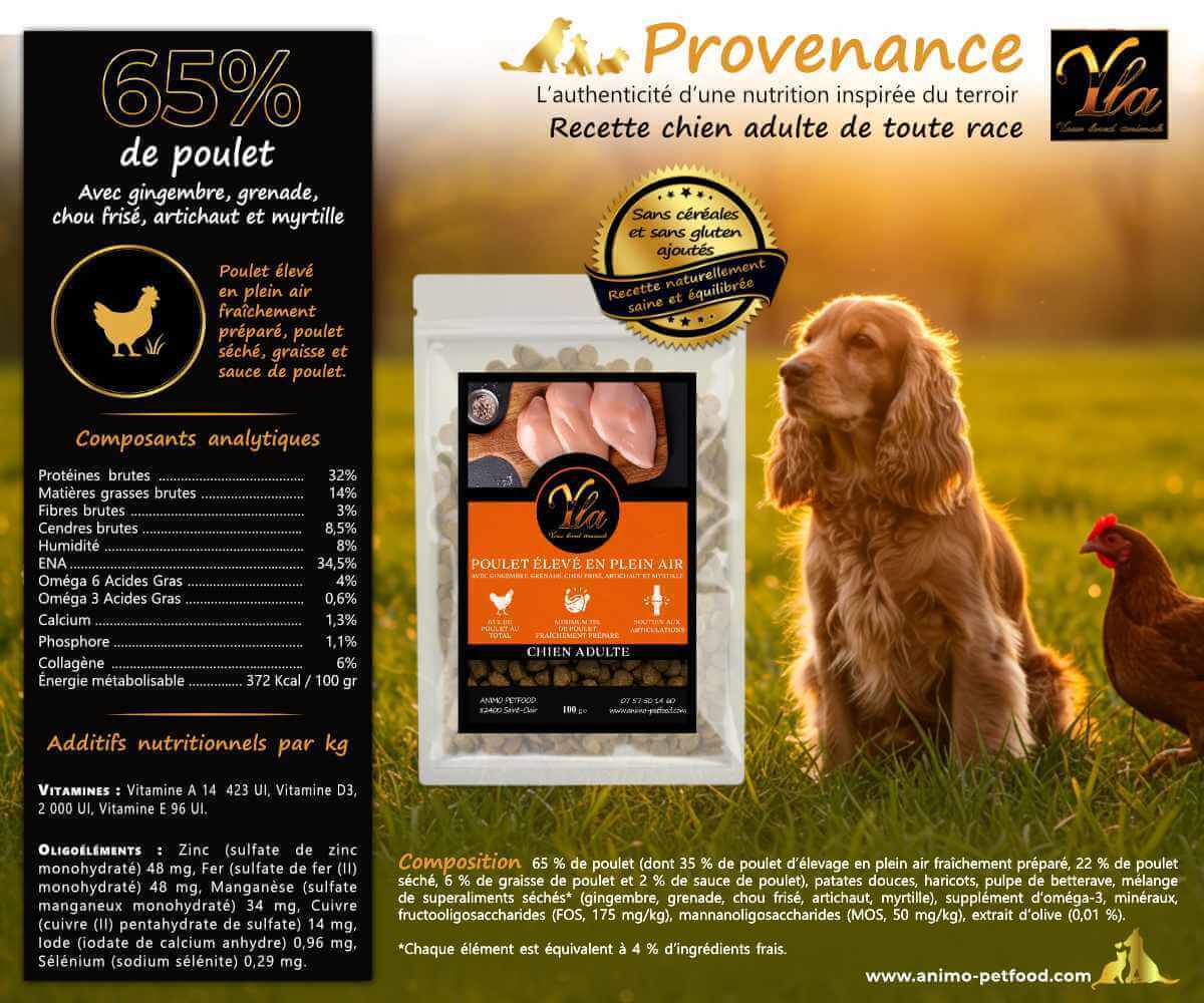 Ingrédients naturels des croquettes pour chien adulte au poulet.
