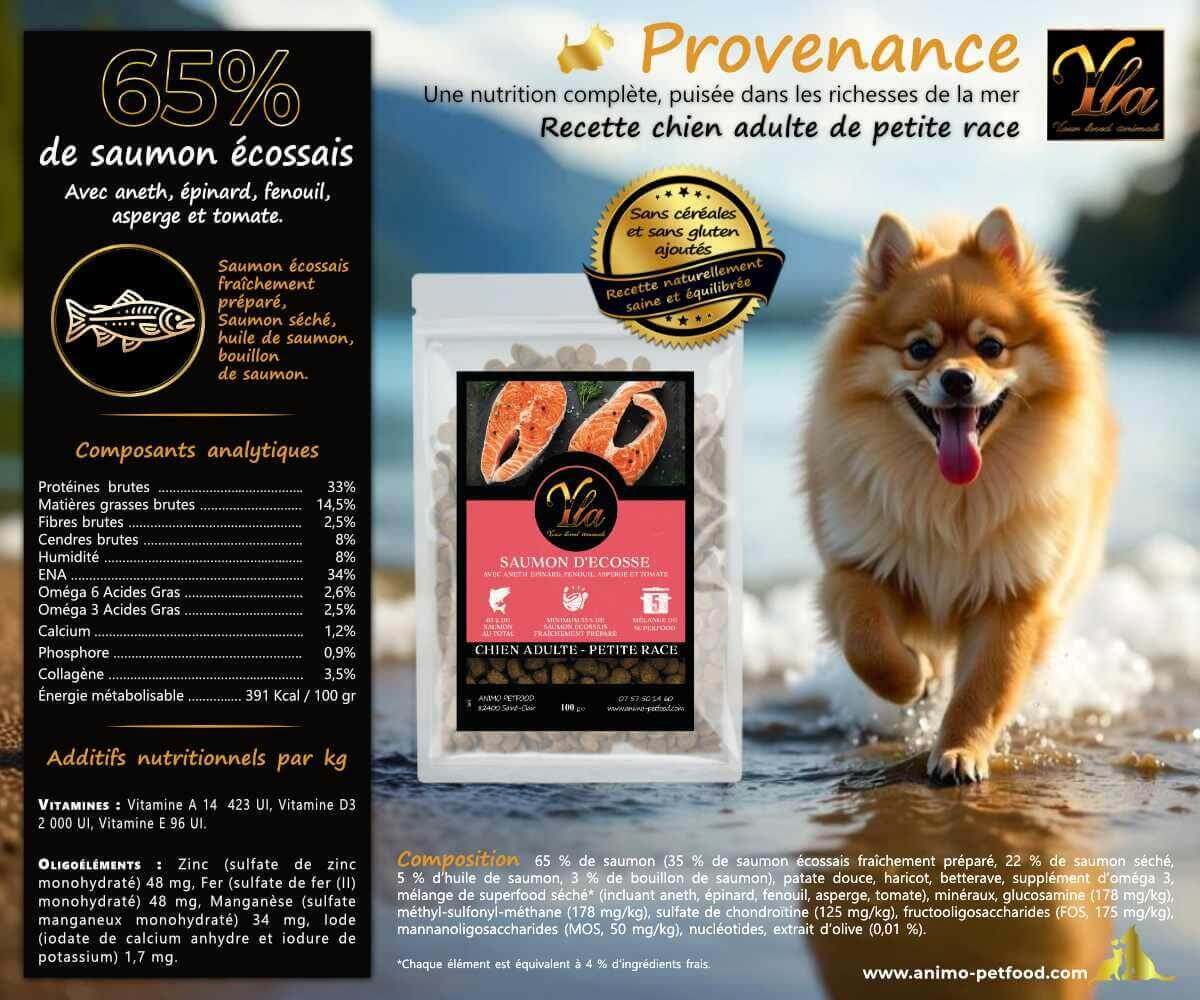 composition des croquettes au saumon d’Écosse pour chien adulte de petite taille, incluant les ingrédients et valeurs nutritionnelles.