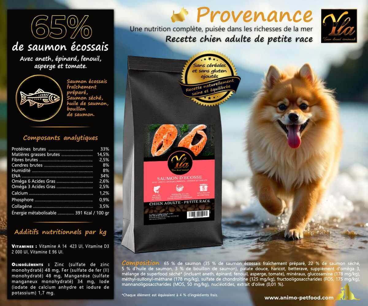 Composition complète des croquettes au saumon d’Écosse pour petit chien adulte, avec détails nutritionnels.