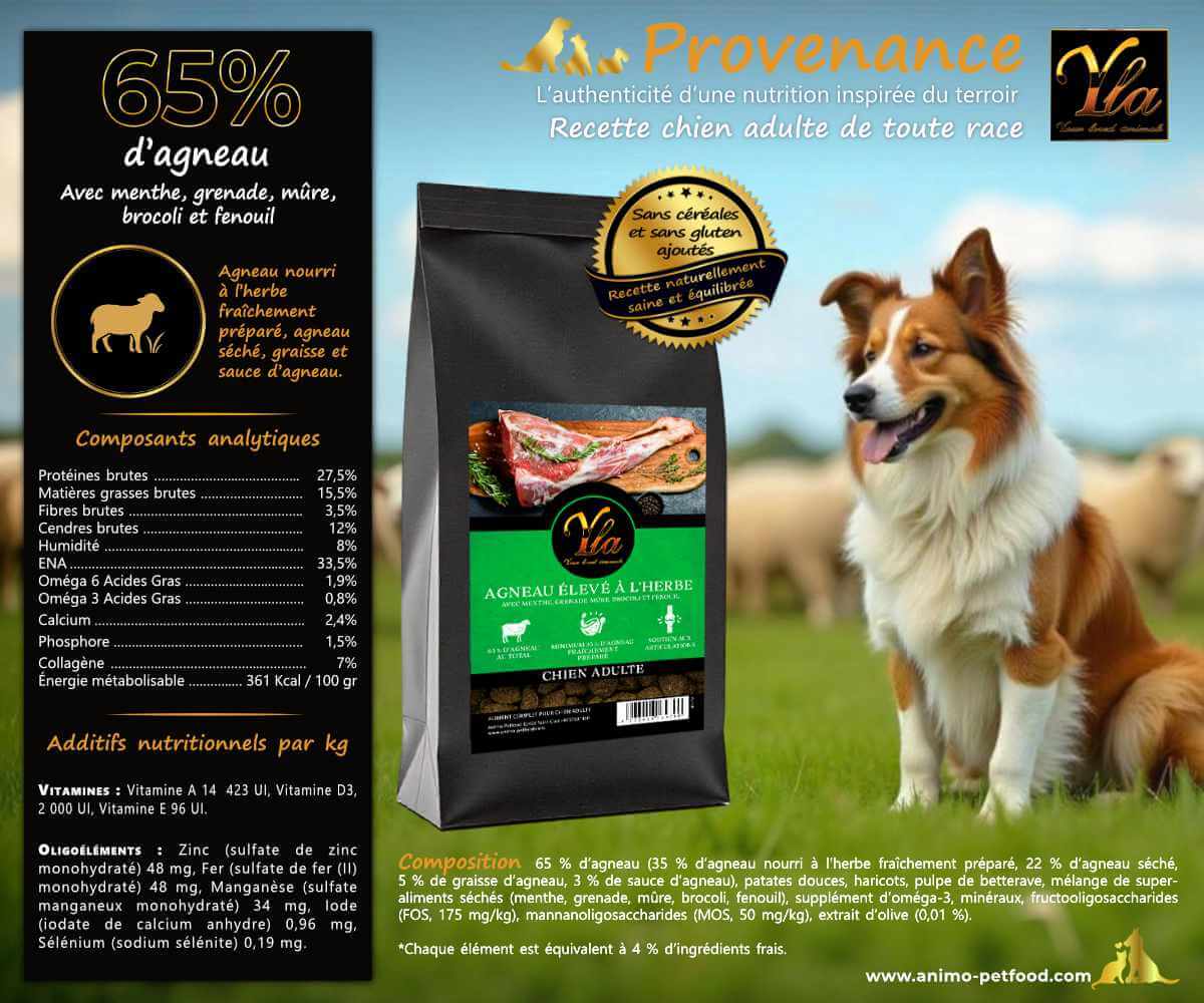 Croquettes hypoallergéniques à l’agneau enrichies en superaliments pour chien adulte